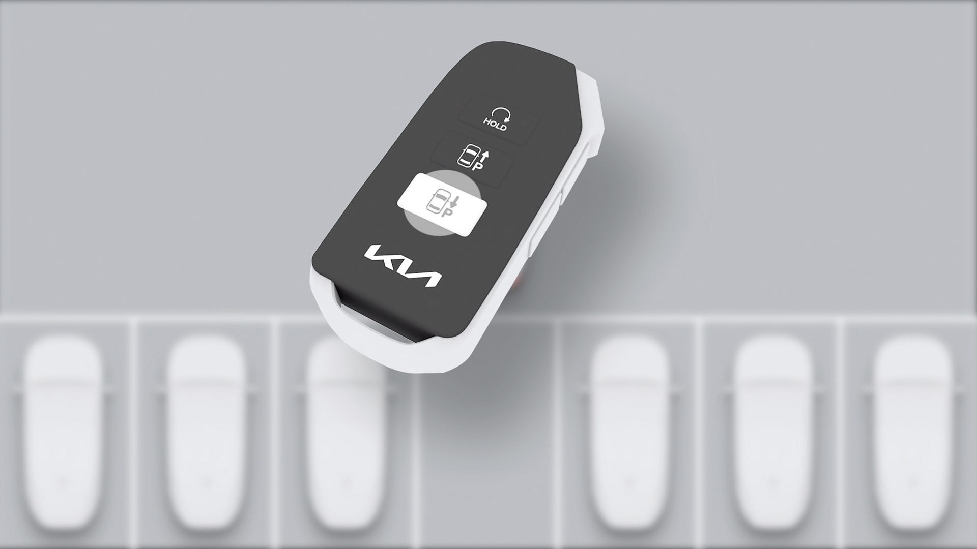 Remote Parkassistent 